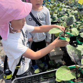 畑になにを植えようかな？