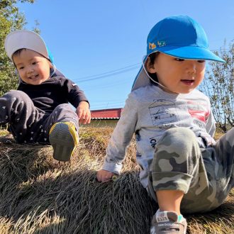 はっぱ、どんぐり、えとせとら・・・